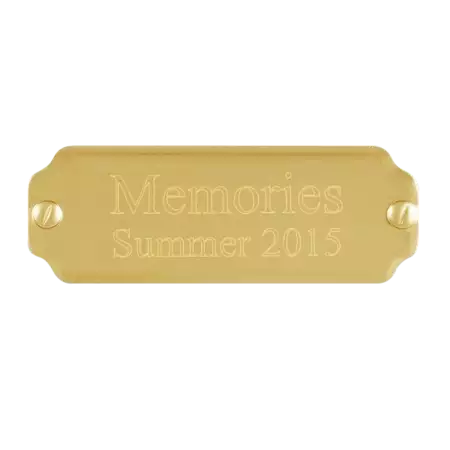 Brass Plate 2 1/2 x 7/8 Engraved buy at ThingsEngraved Canada