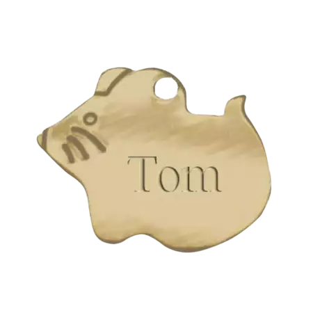 Brass Pet Tag Mouse Engraved buy at ThingsEngraved Canada