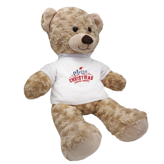 Personalized Christmas Teddy Bear -Bloomex VIP buy at ThingsEngraved Canada