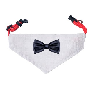 Personalized Pet Bandana Small Size Bowtie buy at ThingsEngraved Canada